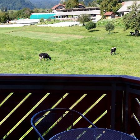 Apartma Julia Spodnje Gorje Buitenkant foto