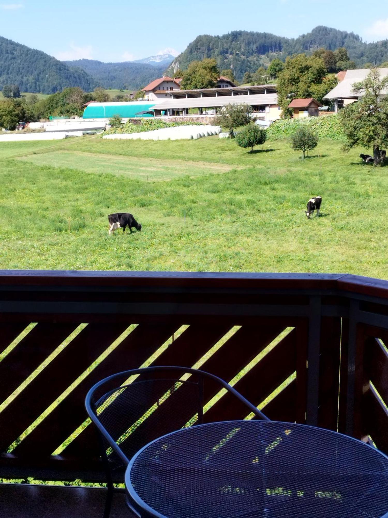 Apartma Julia Spodnje Gorje Buitenkant foto